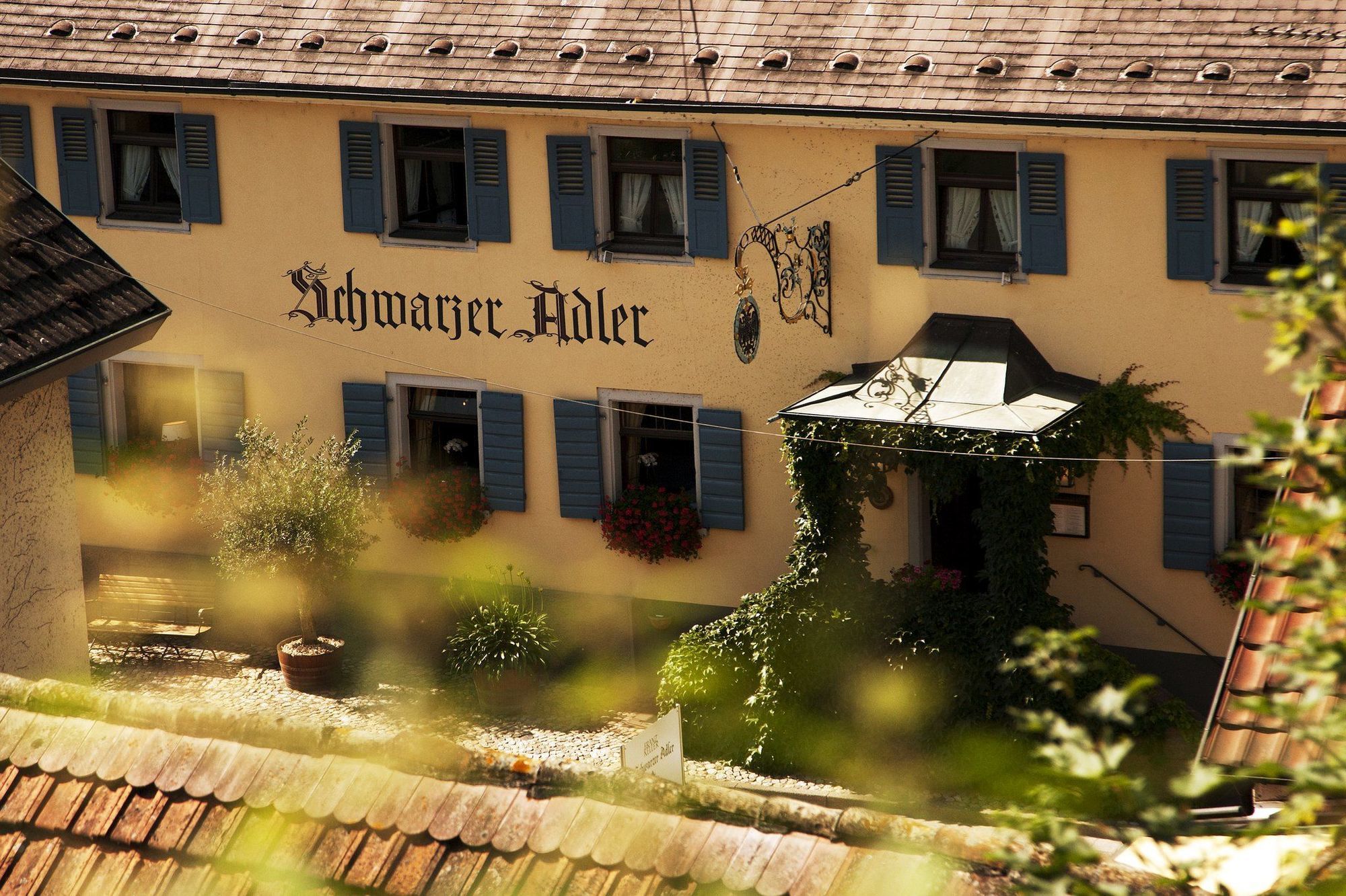 Отель Schwarzer Adler Фогтсбург Ресторан фото